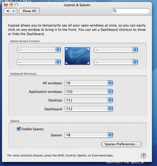 23ͼƬȫλչʾƻLeopard
