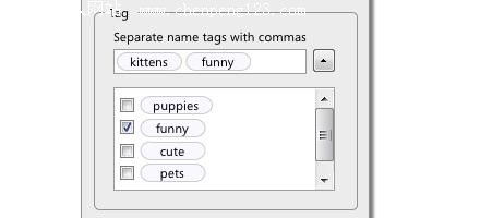 ʣFirefox 3¹ܡUIչʾ