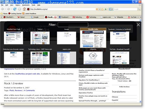 FireFox 3.0 е°ҳл