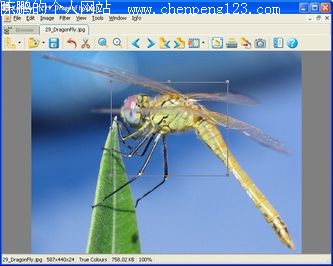 XnView 1.93 Beta 3;ͼ