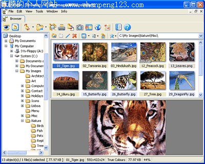 XnView 1.93 Beta 3;ͼ