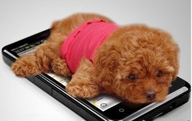 Ⱳ޵ľǸ˷˼ҲԼɵһɵš