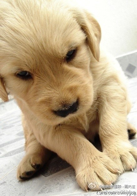 ǰתǧغ󣬷ԭһֱߡ